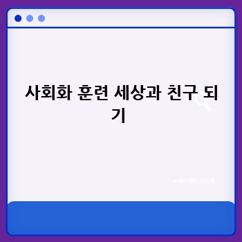 0dd00aaba94ba49895ea529b83919a21.jpg