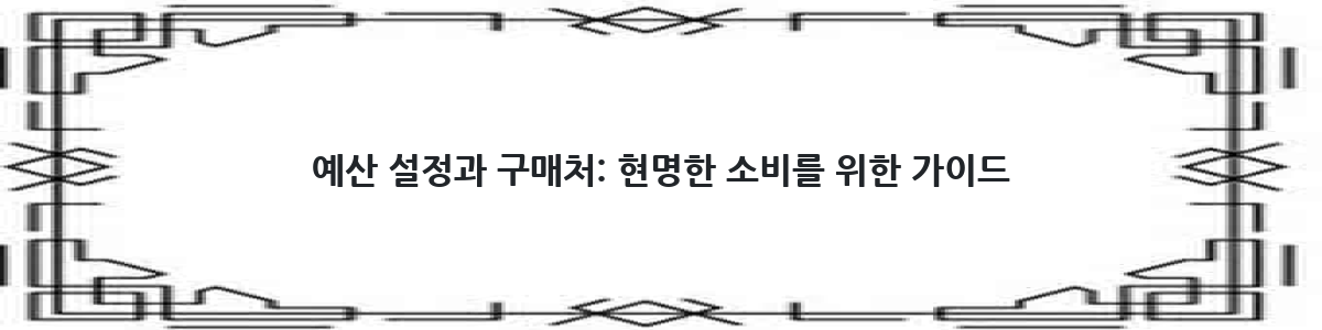예산 설정과 구매처: 현명한 소비를 위한 가이드