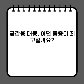 2e33afda632e724ddf528626986b98d5.jpg