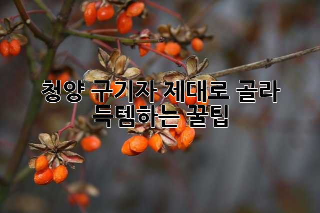 48e094d08ef7676b8a965157a41c8b5f.jpg