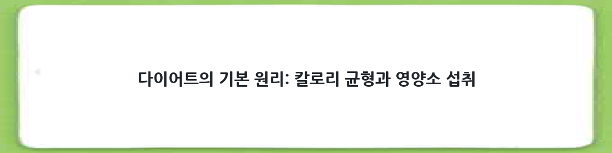 다이어트의 기본 원리: 칼로리 균형과 영양소 섭취