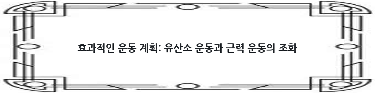 효과적인 운동 계획: 유산소 운동과 근력 운동의 조화