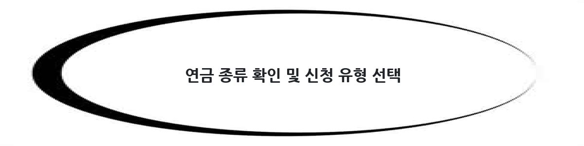 연금 종류 확인 및 신청 유형 선택