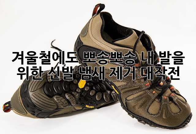 a6830474183454ee4ad3d6cbf9c5067a.jpg
