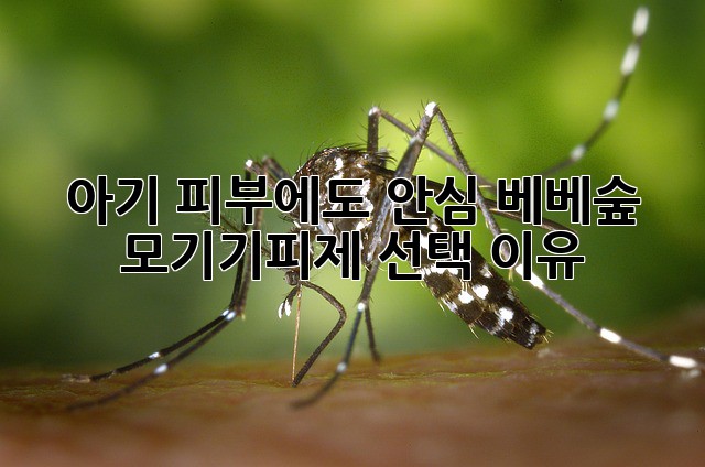 e8d17cc9db325f1b5c31f309a55d08cd.jpg