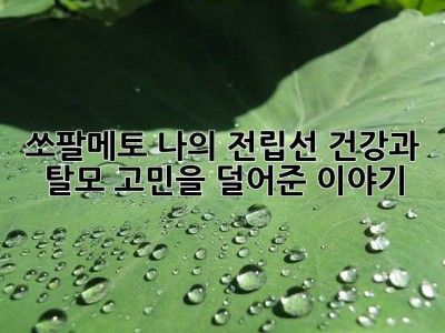 쏘팔메토? 나의 전립선 건강과 탈모 고민을 덜어준 이야기