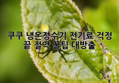 쿠쿠 냉온정수기 전기료 걱정 끝! 절약 꿀팁 대방출!