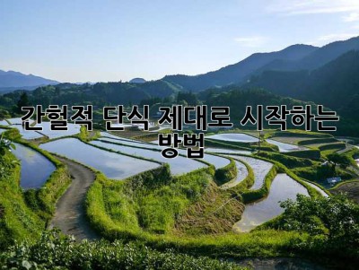 간헐적 단식, 제대로 시작하는 방법