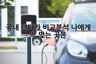 🚗 국내 렌터카 비교분석: 나에게 딱 맞는 곳은?