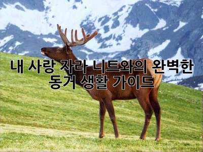 내 사랑, 자라 니트와의 완벽한 동거 생활 가이드 ✨