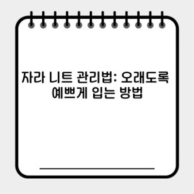 자라 니트: 관리법, 코디법, 그리고 다른 브랜드와의 비교 분석