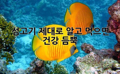 섬고기, 제대로 알고 먹으면 건강 듬뿍! ✨