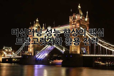 머신러닝 성능 향상의 핵심: 트랑고릿지화 활용 전략