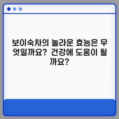보이숙차 완벽 가이드: 효능, 종류, 맛, 그리고 최신 트렌드까지!
