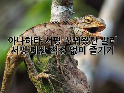 아나하타 서핑: 꿈꿔왔던 발리 서핑, 예산 걱정 없이 즐기기!