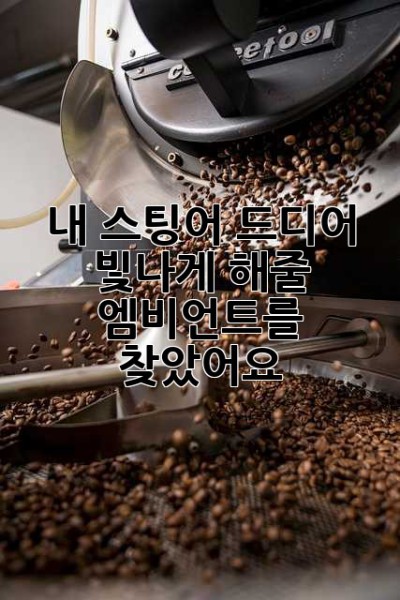 내 스팅어, 드디어 빛나게 해줄 엠비언트를 찾았어요! ✨