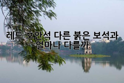 레드 호안석, 다른 붉은 보석과 얼마나 다를까? 🤔