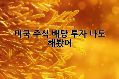 미국 주식 배당 투자? 나도 해봤어! 🤑