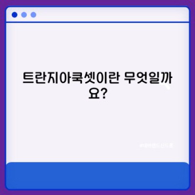 트란지아쿡셋 완벽 가이드: 장점, 단점, 사용법까지 한눈에!