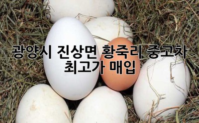 광양시 진상면 황죽리 중고차 최고가 매입!