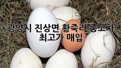 광양시 진상면 황죽리 중고차 최고가 매입!