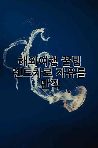 해외여행 꿀팁! 렌트카로 자유를 만끽 😎