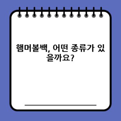 햄머볼백 완벽 가이드: 문제 해결 & 활용법 총정리!