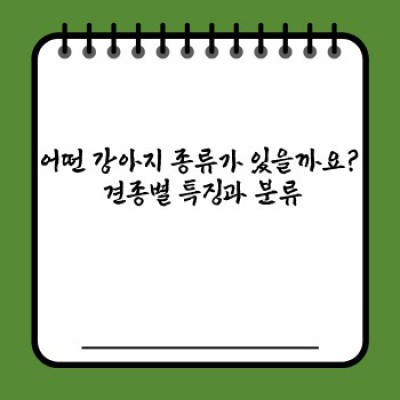 나에게 맞는 강아지 종류는 무엇일까요? 완벽한 반려견 선택 가이드
