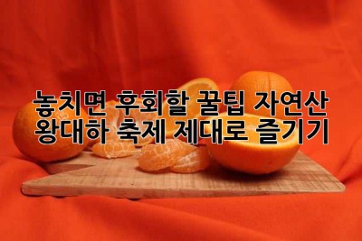 놓치면 후회할 꿀팁! 자연산 왕대하 축제 제대로 즐기기 ✨