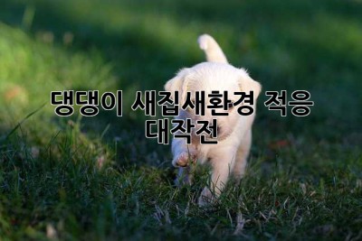 댕댕이, 새집/새환경 적응 대작전!  🏡🐶