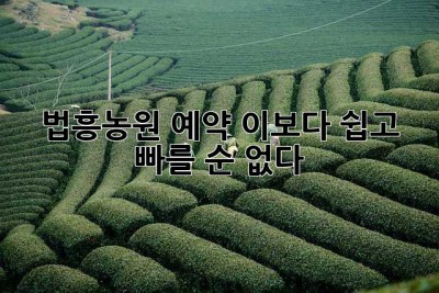 법흥농원 예약, 이보다 쉽고 빠를 순 없다!