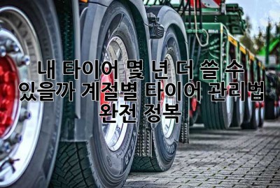 내 타이어, 몇 년 더 쓸 수 있을까? 계절별 타이어 관리법 완전 정복!