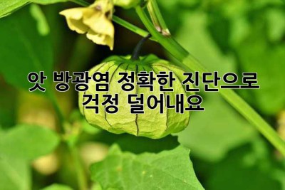 앗, 방광염?! 정확한 진단으로 걱정 덜어내요!