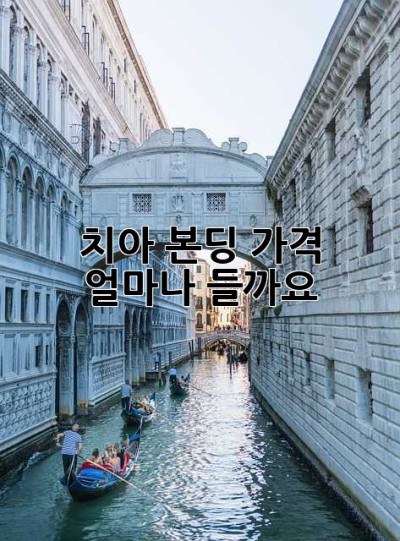 치아 본딩 가격, 얼마나 들까요? 🤔