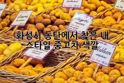 화성시 동탄에서 찾은 내 스타일 중고차 색깔🎨✨