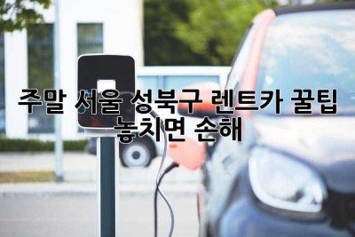 주말 서울 성북구 렌트카 꿀팁! 😎 놓치면 손해!