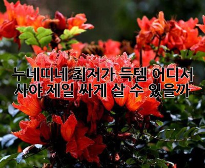 누네띠네 최저가 득템! 어디서 사야 제일 싸게 살 수 있을까? 🤔