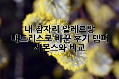 내 잠자리, 알레르망 매트리스로 바꾼 후기 (템퍼, 시몬스와 비교!)