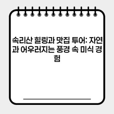 보은 맛집 완전 정복! 숨은 보석부터 인생 맛집까지 (최신 트렌드 분석)