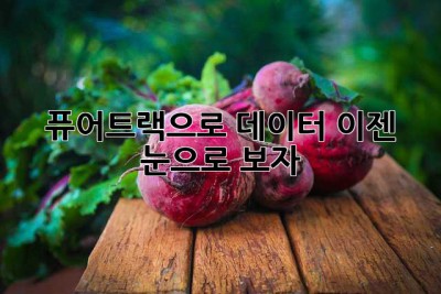 퓨어트랙으로 데이터, 이젠 눈으로 보자! ✨