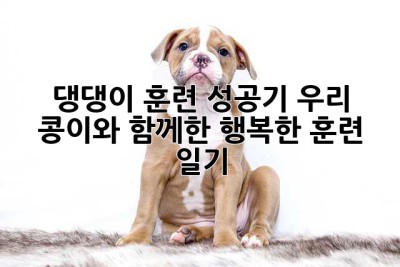 댕댕이 훈련 성공기: 우리 콩이와 함께한 행복한 훈련 일기