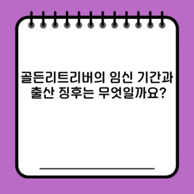골든리트리버 출산: 준비부터 관리까지 완벽 가이드