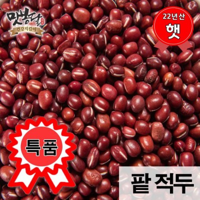 놓치면 후회! 햇거두 풍년 득템 후기 ✨