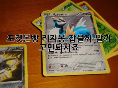 포켓몬빵 리자몽, 잡을까 말까 고민되시죠? 🤔