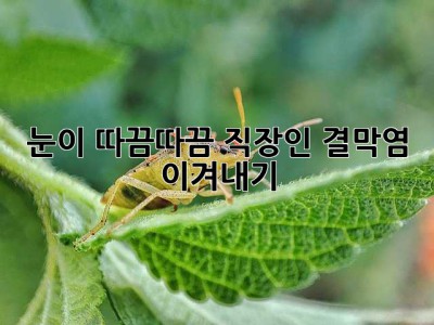눈이 따끔따끔... 직장인, 결막염 이겨내기!