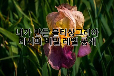 내가 만든 불티상그리아 레시피: 비밀 레벨 공개! ✨
