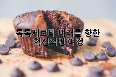 톡톡제로티: 미래를 향한 혁신적인 여정