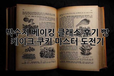 박수지 베이킹 클래스 후기: 빵, 케이크, 쿠키 마스터 도전기!