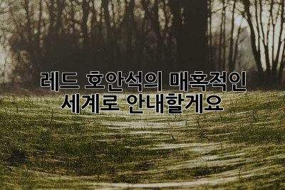 레드 호안석의 매혹적인 세계로 안내할게요! ✨