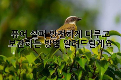 퓨어 설퍼, 안전하게 다루고 보관하는 방법 알려드릴게요! 🥰